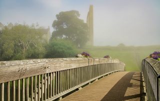 1-Francisco Olmos Cubero-119-Camelot