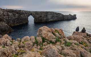 19-Damià Tous Vazquez-99-Pont d’en Gil