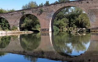 35-PERE GRAUPERA LANGA-91-Pont romanic.