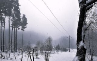 12-FERNANDO ARMENTEROS PULIDO-SOLEDAD