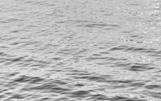 13-Màxim Poncela Adot-Bolard al moll