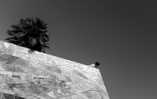 15-Damià Tous Vazquez-Jogant…