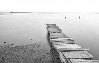 21-Lluís Porcel Giménez