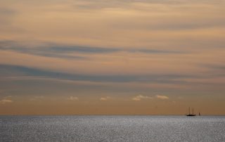 24-Esperança Sanz Marin-Fent cami