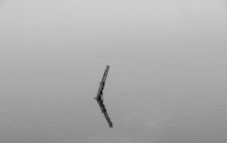 24-XAVIER RICOL DOLSET-EMERGENT