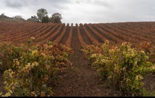 25-Lluís Porcel Giménez-95-_DSC3241