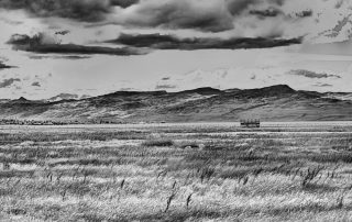 29-ignacio cuneo liuboschitiz-hide