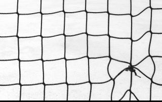 3-Màxim Poncela Adot-120-Nus