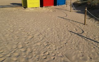 39-Ramon Riera-Tres Colors