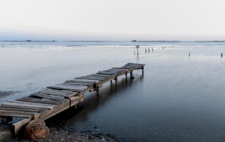 8-Lluís Porcel Giménez