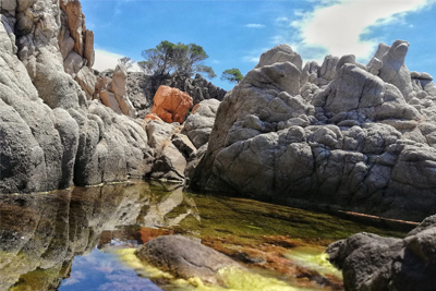 Reunió Grup Natura / 21/01/2026