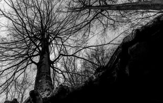 30-Miquel Cabré-83-On es el cel