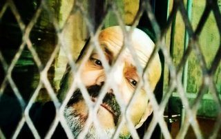 30-PERE GRAUPERA LANGA-76-Tancat.