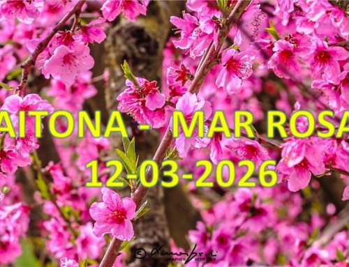 Resum de la Sortida del Grup de Paisatge a Aitona