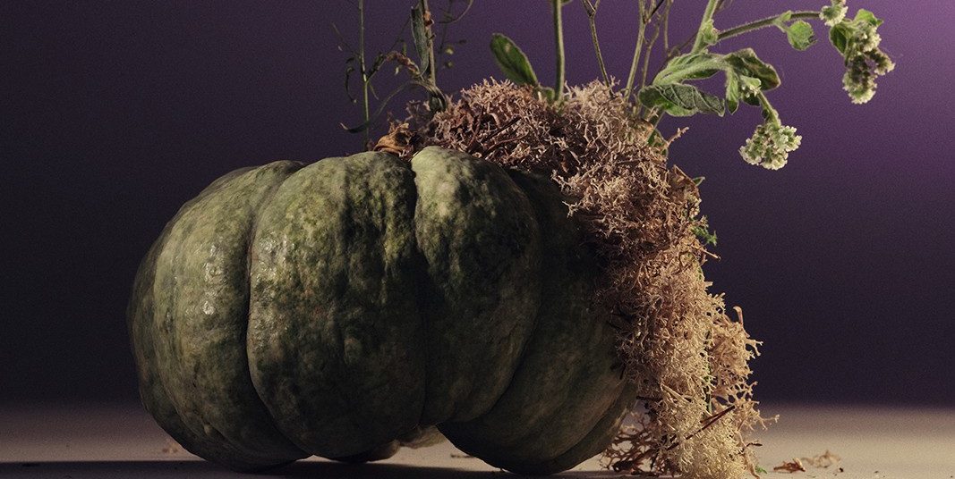 Visita guiada a la exposición fotográfica La persistència del que és efímer. Fujifilm House BCN