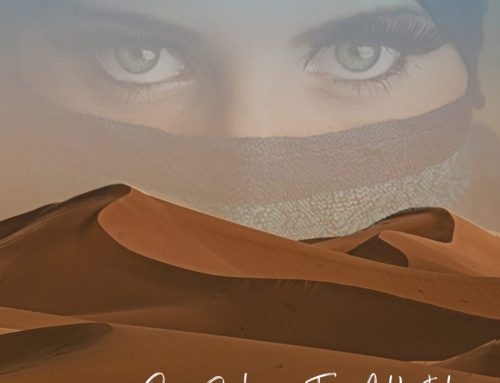 Exposició fotogràfica externa “Passeig per Marroc” Pepa Barberá i Toni Adelantado